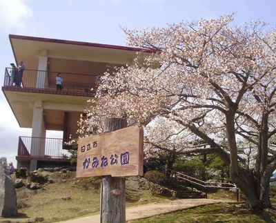 神峰公園のサクラ 日立市宮田町 手作りの庭と日立市の草花を綴る